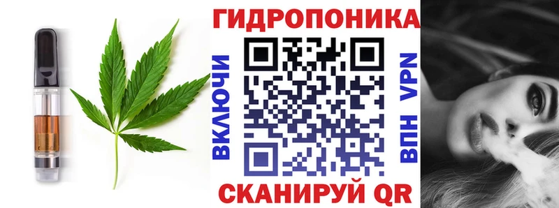 Купить где  Горняк  Cannafood конопля 