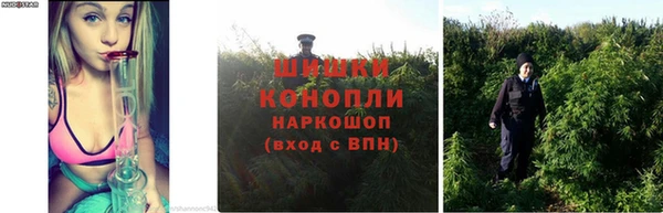 спиды Касимов