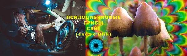 спиды Касимов