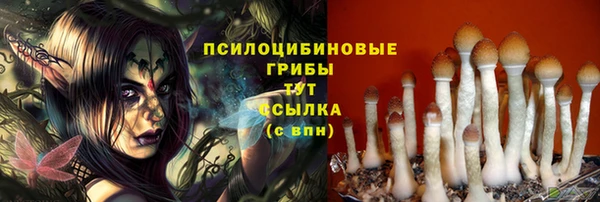 спиды Касимов